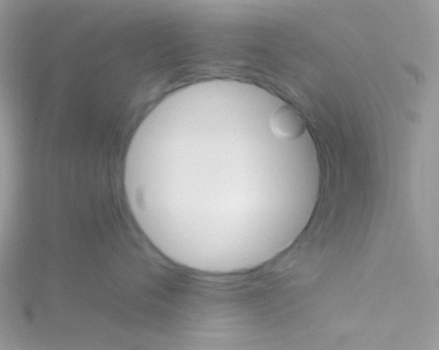 X0000115320720200911231350