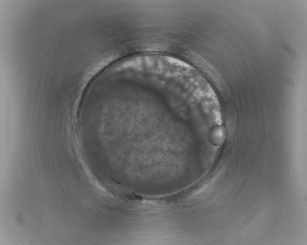 X0000115320721200911231350