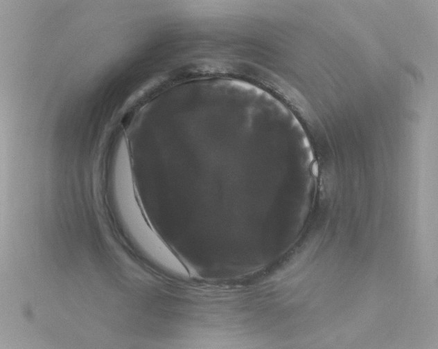 X0000115320722200911231350