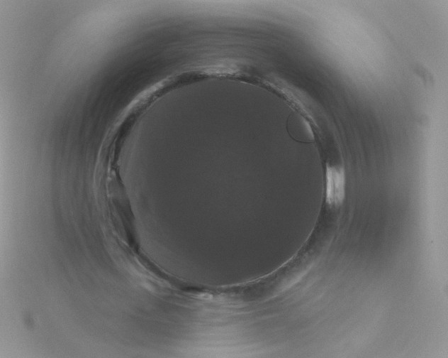 X0000115320723200911231350