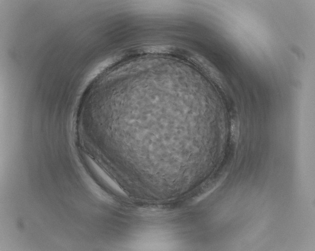 X0000115320725200911231350