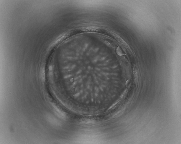 X0000115320729200911231350