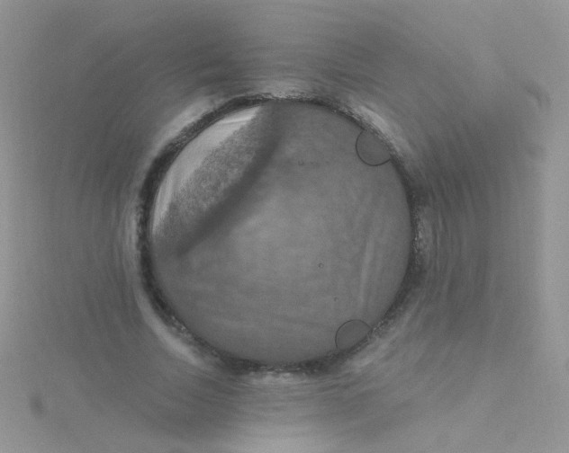 X0000115320730200911231350