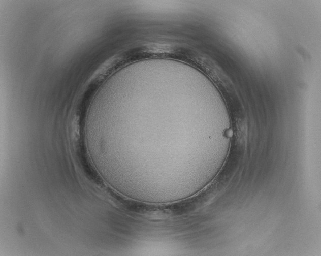 X0000115320731200911231350