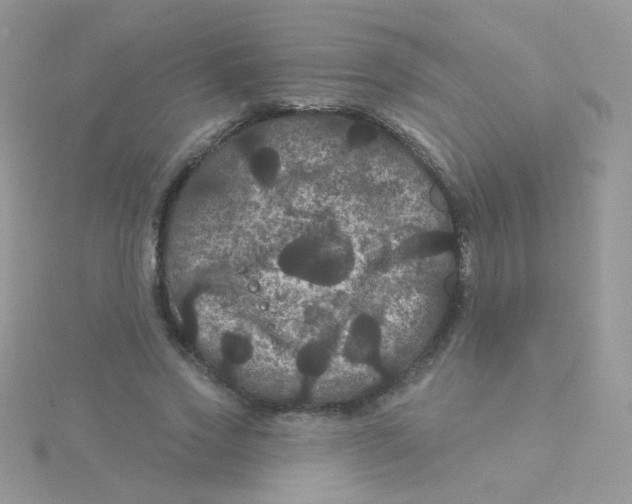 X0000115320733200911231350