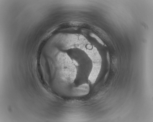 X0000115320734200911231350