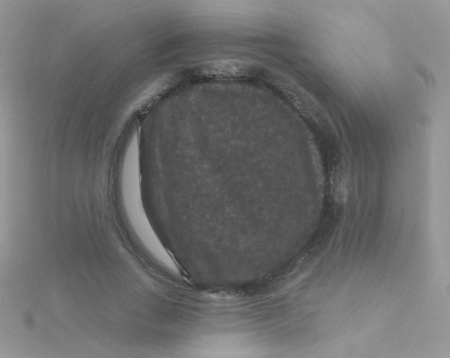 X0000115320735200911231350