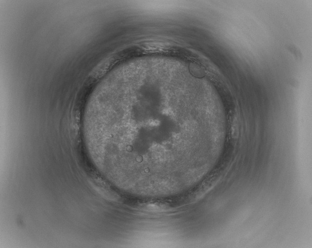 X0000115320737200911231350