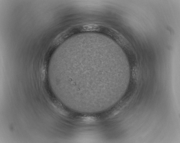 X0000115320741200911231350