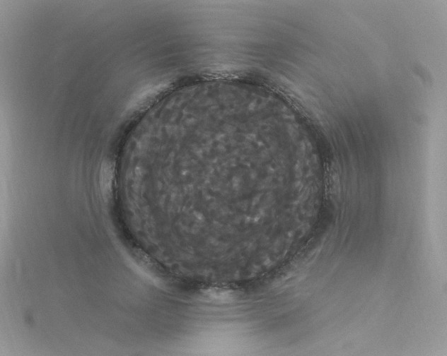 X0000115320742200911231350