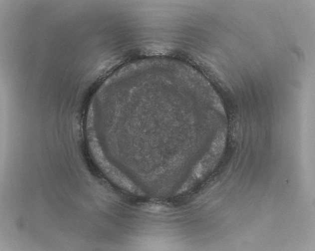 X0000115320743200911231350