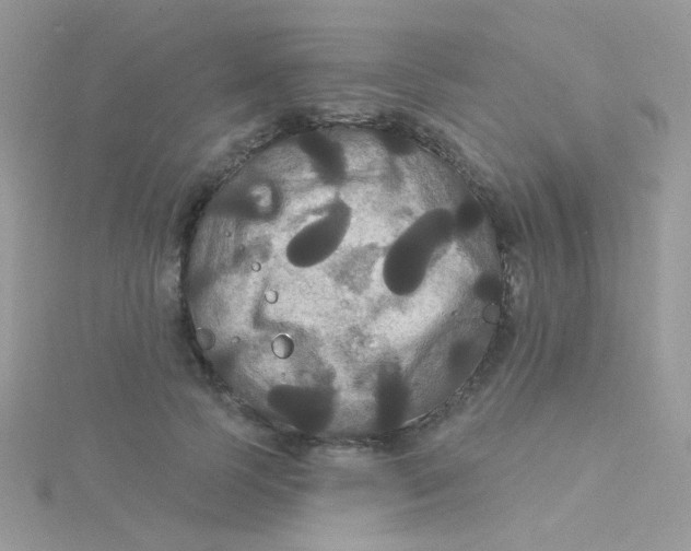 X0000115320745200911231350