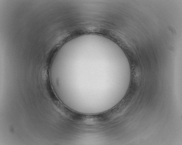 X0000115320746200911231350