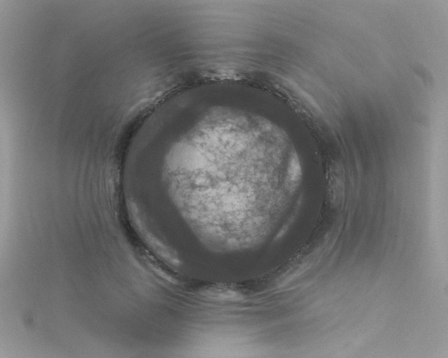 X0000115320747200911231350