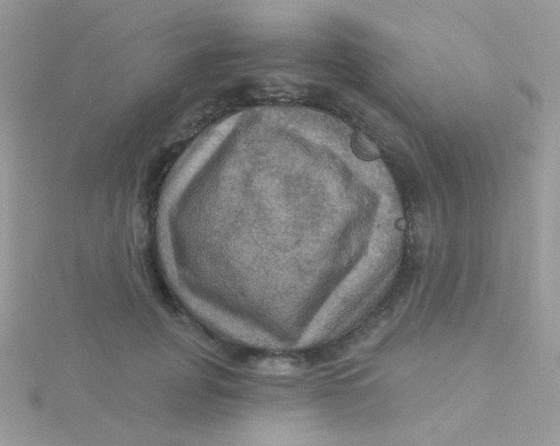 X0000115320751200911231350