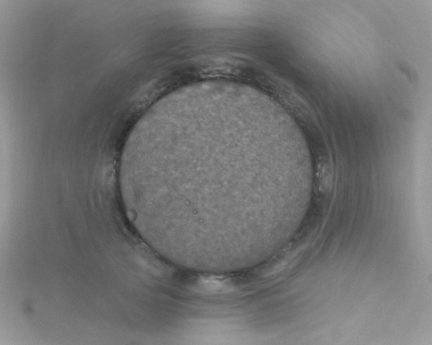 X0000115320753200911231350