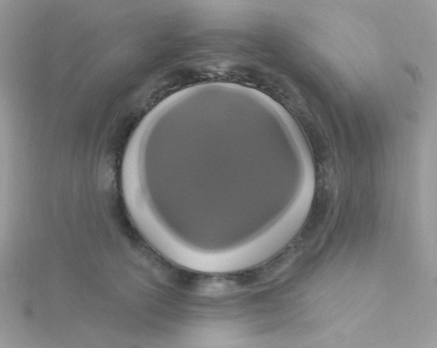 X0000115320754200911231350