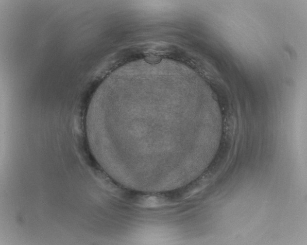 X0000115320755200911231350