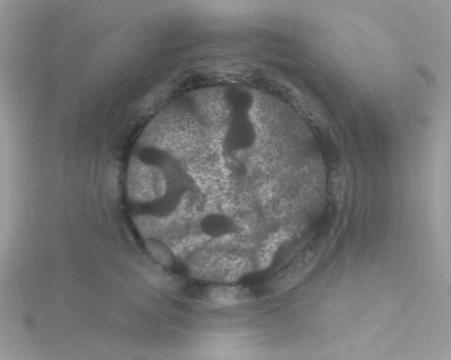 X0000115320757200911231350