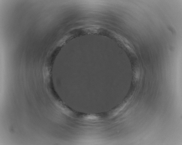 X0000115320759200911231350