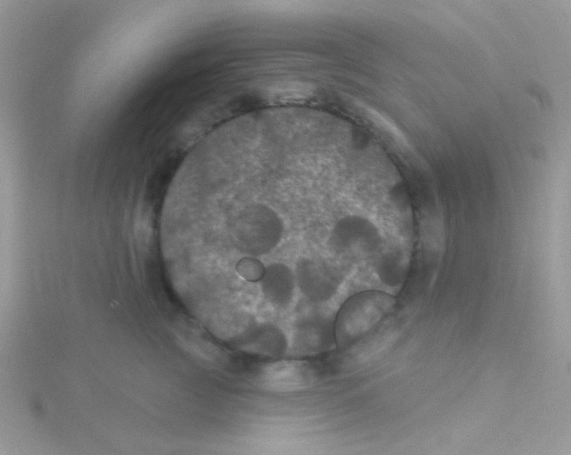 X0000115320761200911231350