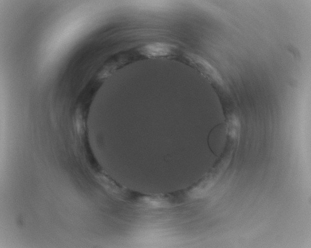 X0000115320763200911231350