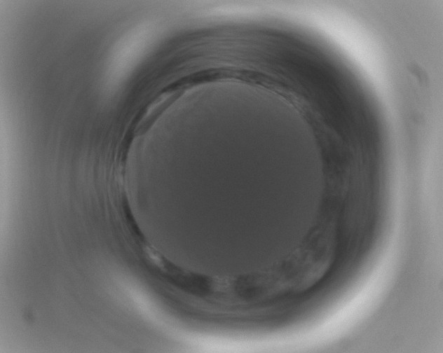 X0000115320766200911231350