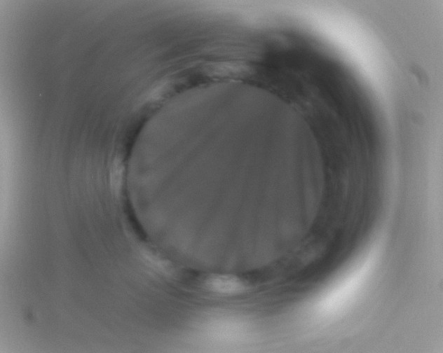 X0000115320767200911231350