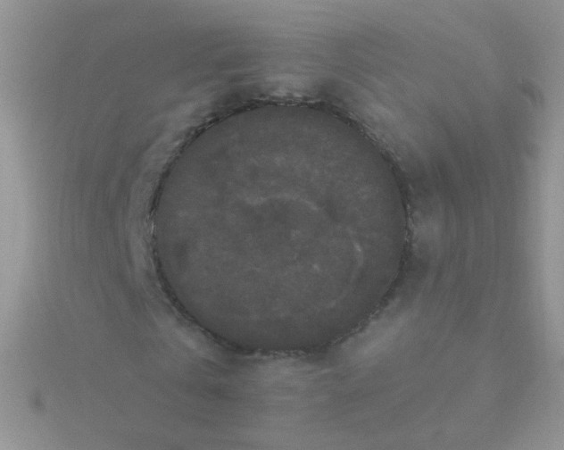 X0000115320769200911231350