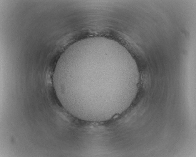 X0000115320770200911231350