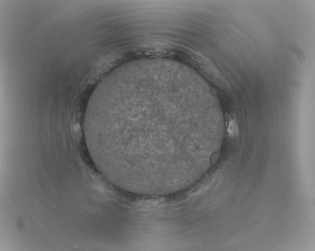 X0000115320771200911231350