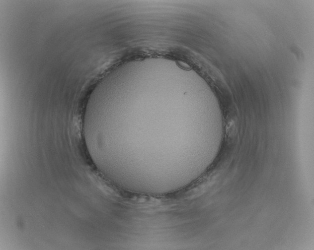 X0000115320772200911231350