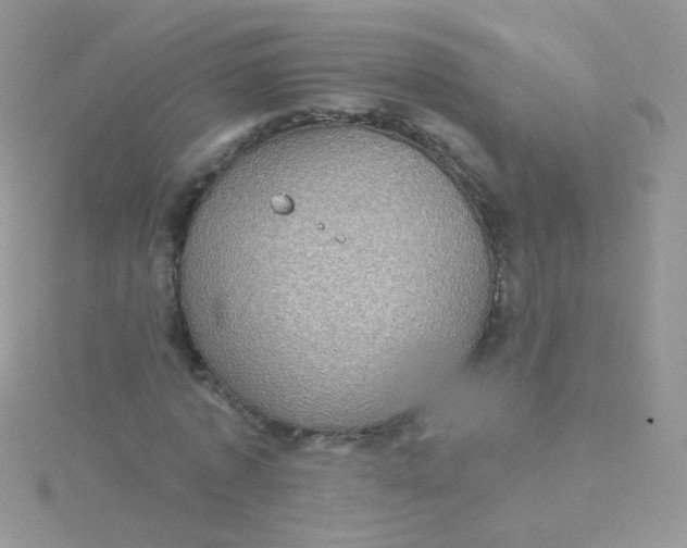 X0000115320773200911231350