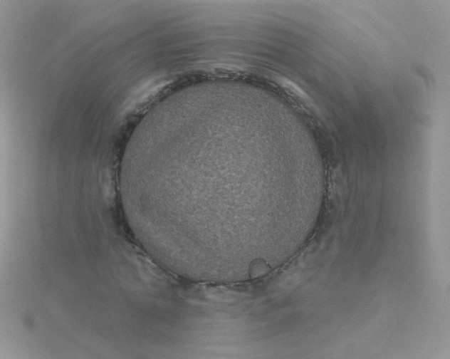 X0000115320774200911231350