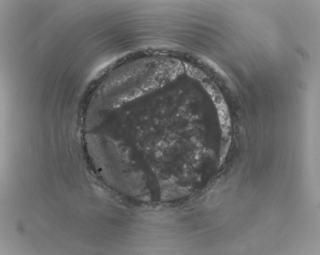 X0000115320775200911231350