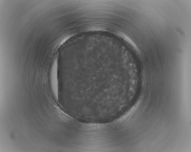 X0000115320777200911231350