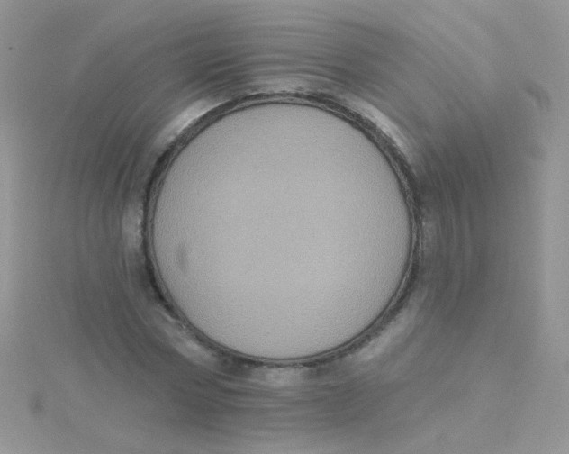 X0000115320778200911231350