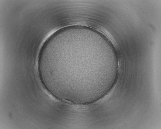 X0000115320780200911231350