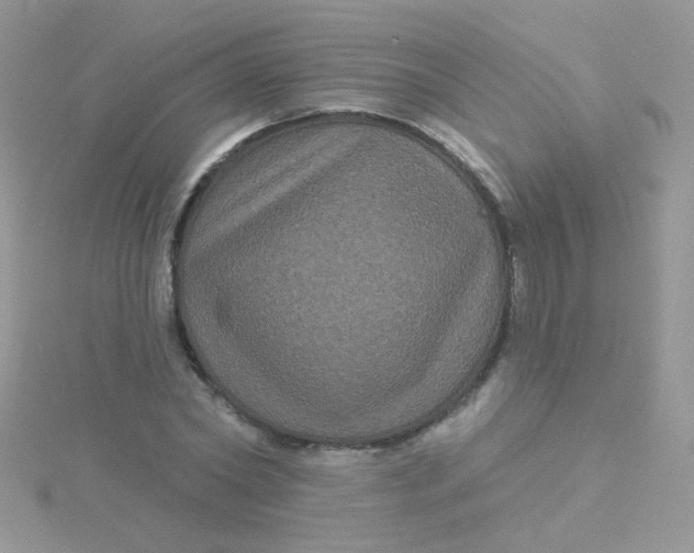 X0000115320782200911231349