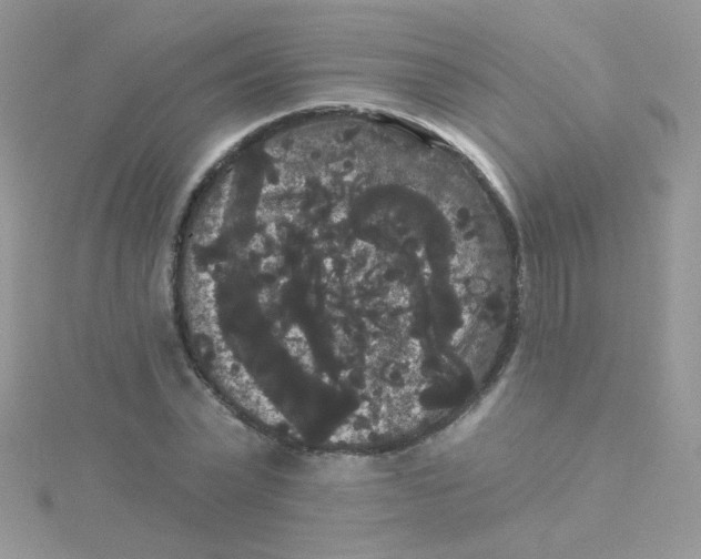 X0000115320783200911231349