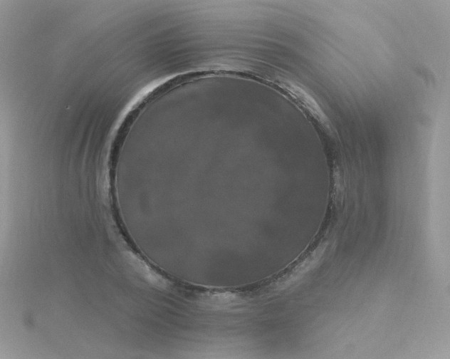 X0000115320784200911231349