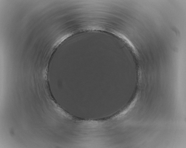 X0000115320785200911231349