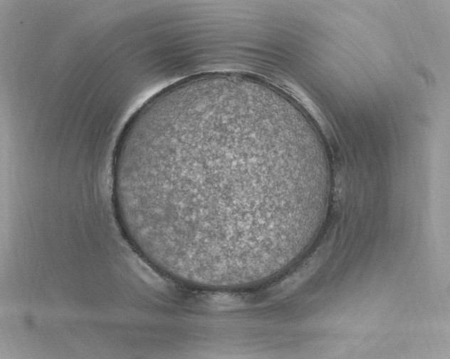 X0000115320787200911231349