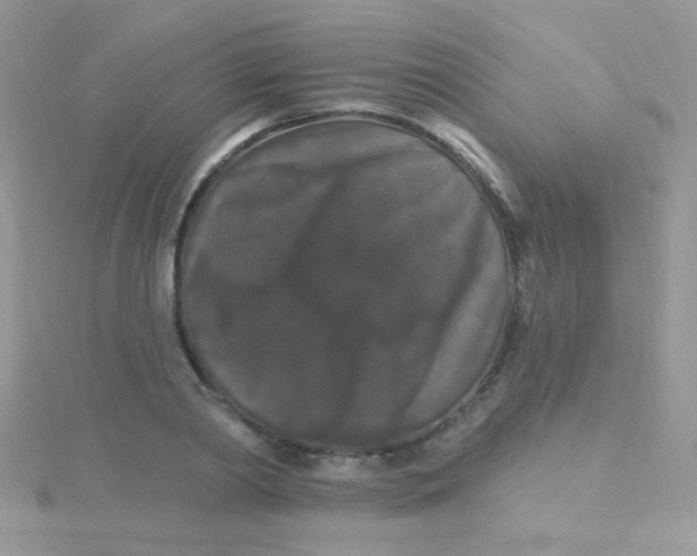 X0000115320790200911231349