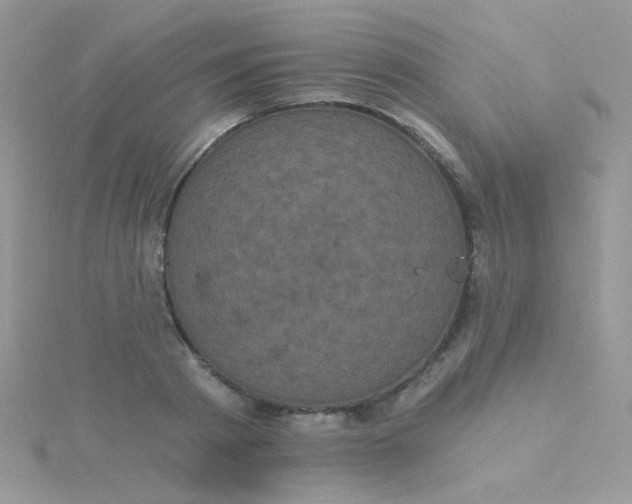 X0000115320793200911231349