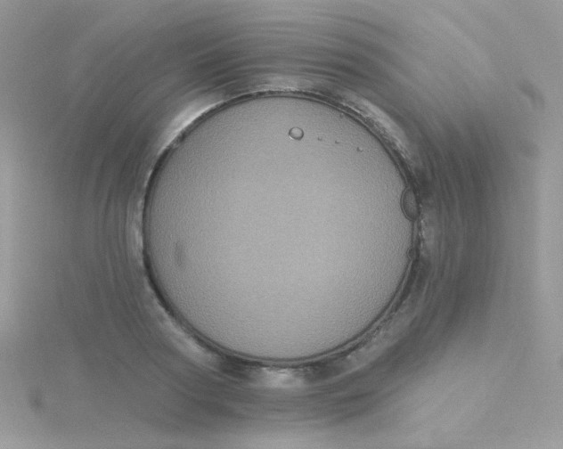 X0000115320794200911231349