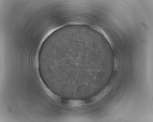 X0000115320795200911231349