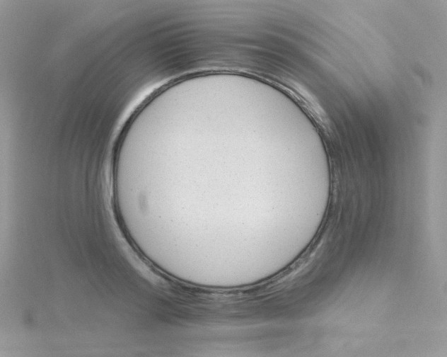 X0000115320796200911231349