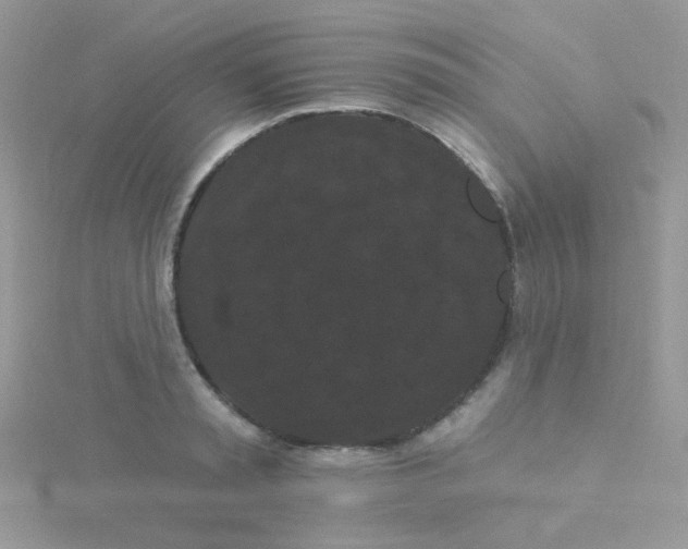 X0000115320797200911231349