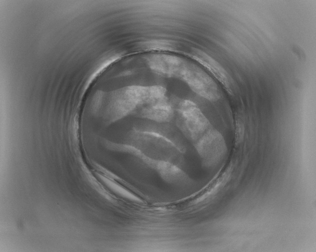 X0000115320798200911231349